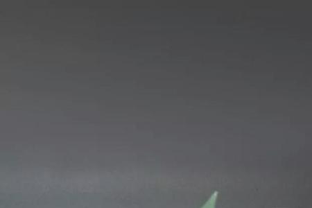 生活纯粹点是什么意思