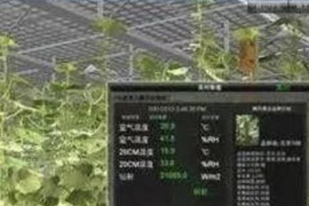 5g时代农产品营销创新感想