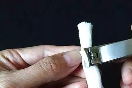 口香糖粘还是胶带粘