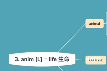 以ceal为词根的单词