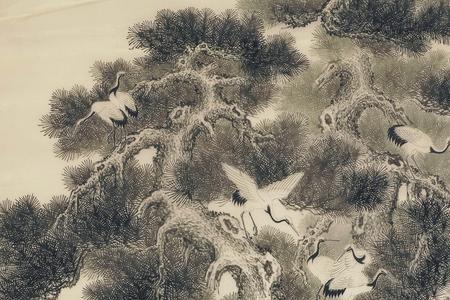 松鹤长青的意思