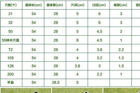 扦插育苗盒为什么生根快