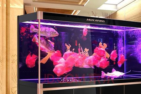 龙鱼缸温度32度正常么