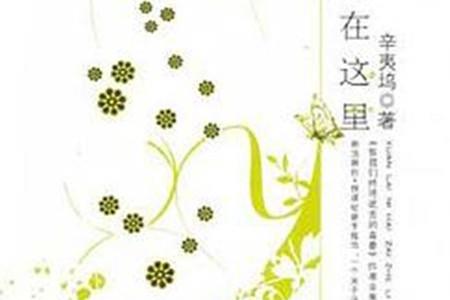 原来你在这里呀加标点