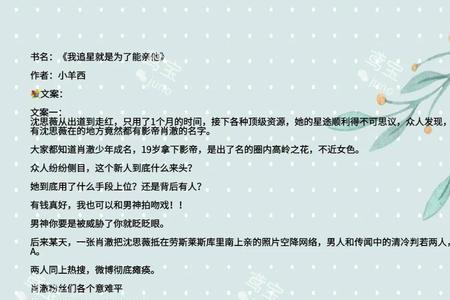 求娱乐文小说名字