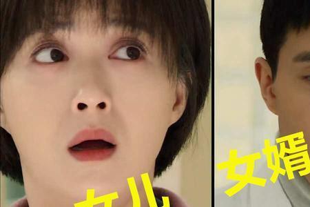暖心女婿是什么意思