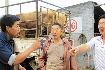 农民在村里被人打怎么办