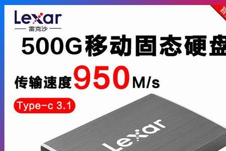 雷克沙m1可以挂两块硬盘吗