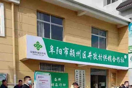 怎么查农村合作社的成员