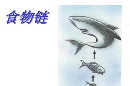 小鱼吃虾米扩充句子怎么写