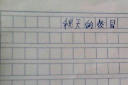 作文正文怎么写