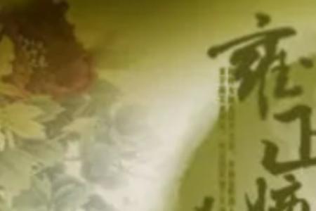 重生为雍正的小说