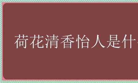 什么的怡人