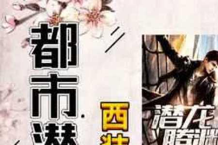 都市潜龙赵东的身份