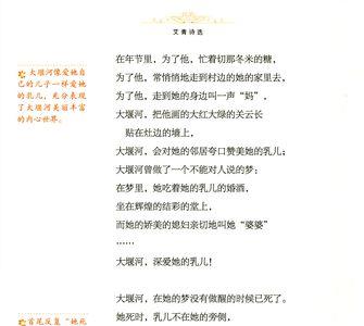 向太阳原文及赏析