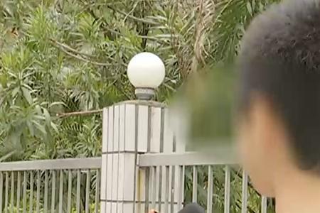 13岁男孩打的过大人吗