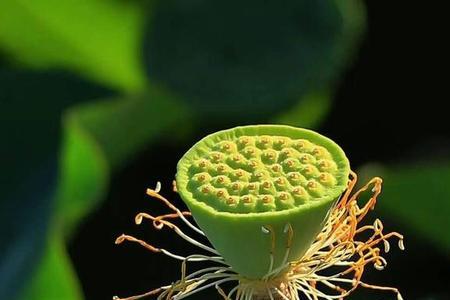 生活就是这样七绝