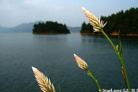 夸风景间接夸人