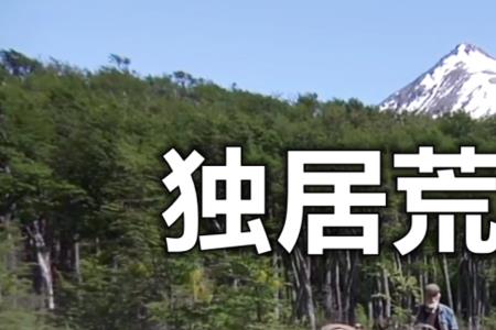 荒野独居总共几级
