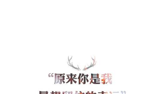 你是我的小幸运下一句是什么