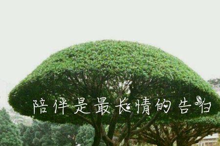 岁月偷偷在溜走歌词