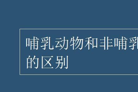 昆虫类跟哺乳类有什么区别