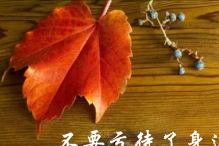 真心错付后的醒悟