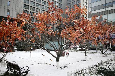 2023北京初雪大概什么时候