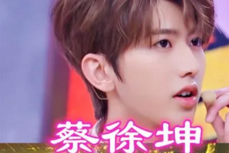 陈立农粉丝名,应援色和口号