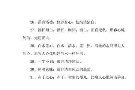 洁什么什么爱成语
