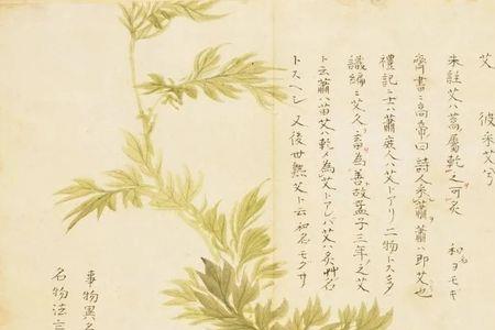 带佳字的诗经