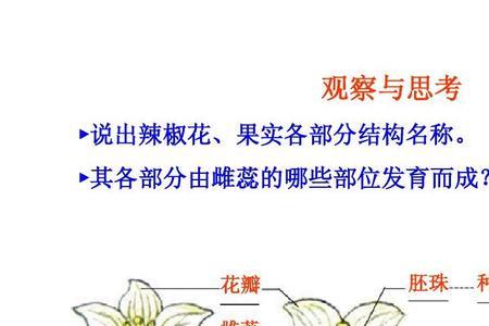 花萼花瓣状生物学名词解释