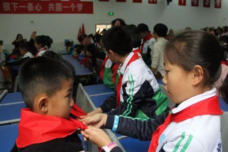 小学不是每个人都是少先队员吗