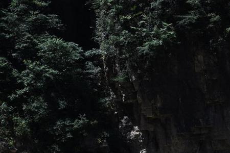 为什么要走出大山