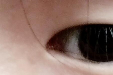 丹凤眼圆脸型好看吗