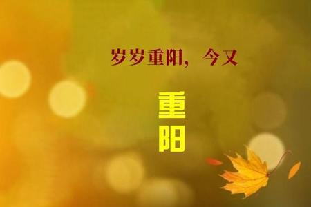 造物情意浓什么意思