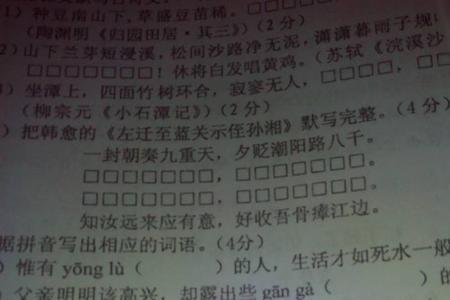 不记得相应词语是什么
