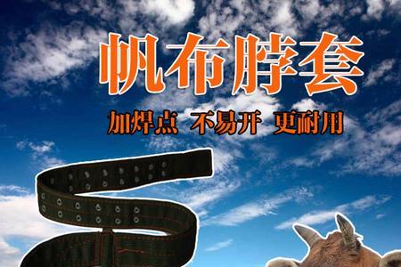 把你拴裤腰带上什么意思