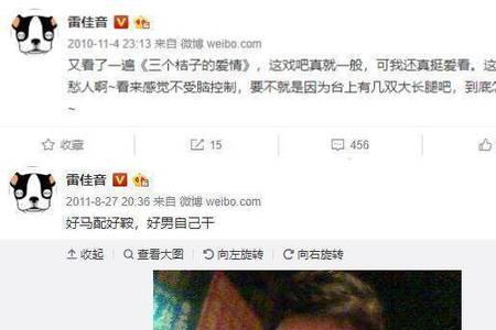 雷佳音和魏晶是不是很像