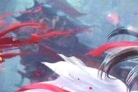 剑来谁用枪
