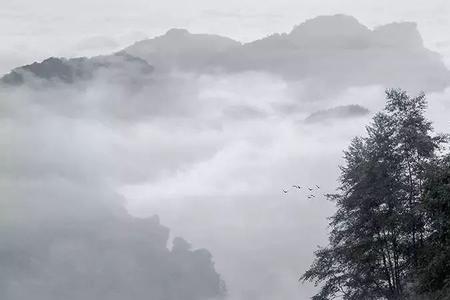 醉卧兰舟君入梦下联