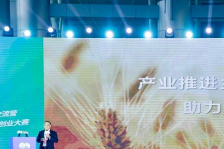 乡村振兴报考自我介绍