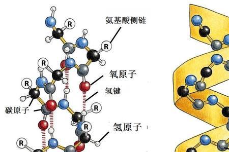 为什么说碳元素最软
