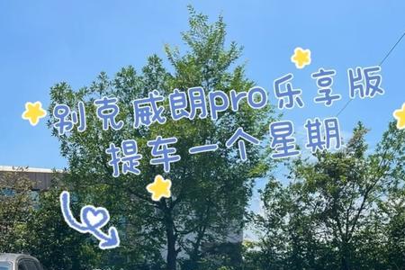 威朗pro乐享版怎么远程启动