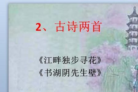 江畔独步寻花其六节奏划分