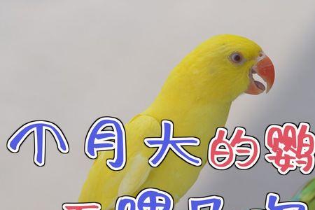 一个月有几个年