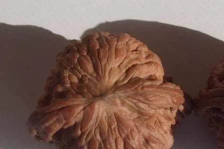 苹果园和磨盘哪个皮质好