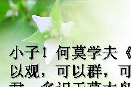 诗经中含有文若的诗句