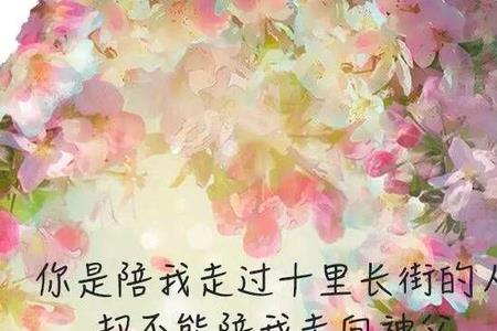 反正你也得不到我的句子