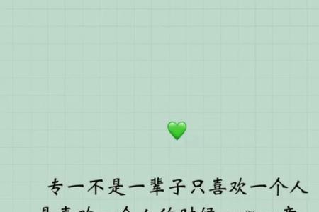 爱你是我一生的执着是什么意思